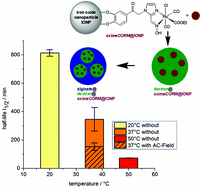 Graphical abstract: Synthesis of oxime-based CO-releasing molecules, CORMs and their immobilization on maghemite nanoparticles for magnetic-field induced CO release