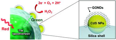 Graphical abstract: Harnessing low energy photons (635 nm) for the production of H2O2 using upconversion nanohybrid photocatalysts