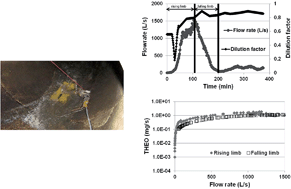 Graphical abstract: Temporal analysis of E. coli, TSS and wastewater micropollutant loads from combined sewer overflows: implications for management
