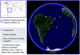 Graphical abstract: Microplastics in coastal and marine environments of the western tropical and sub-tropical Atlantic Ocean