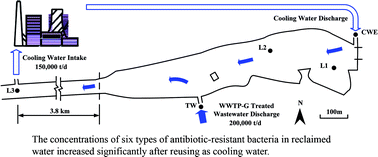 Graphical abstract: Prevalence of antibiotic-resistant bacteria in a lake for the storage of reclaimed water before and after usage as cooling water