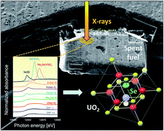 Graphical abstract: Characterization of selenium in UO2 spent nuclear fuel by micro X-ray absorption spectroscopy and its thermodynamic stability