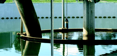 Graphical abstract: Cyanobacterial management in full-scale water treatment and recycling processes: reactive dosing following intensive monitoring
