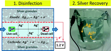 Graphical abstract: Electrochemical silver dissolution and recovery as a potential method to disinfect drinking water for underprivileged societies