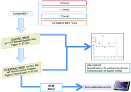 Graphical abstract: The protective role of the Bowman-Birk protease inhibitor in soybean lunasin digestion: the effect of released peptides on colon cancer growth