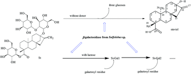 Graphical abstract: Enzymatic transformation of stevioside using a β-galactosidase from Sulfolobus sp.