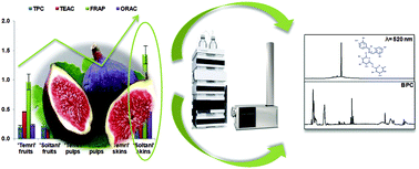 Graphical abstract: Assessment of the distribution of phenolic compounds and contribution to the antioxidant activity in Tunisian fig leaves, fruits, skins and pulps using mass spectrometry-based analysis