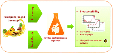 Graphical abstract: Food matrix and processing influence on carotenoid bioaccessibility and lipophilic antioxidant activity of fruit juice-based beverages