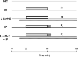 Graphical abstract: Effect of an Ilex paraguariensis (yerba mate) extract on infarct size in isolated rat hearts: the mechanisms involved