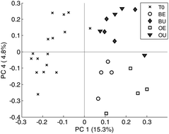 Graphical abstract: Extrusion of barley and oat influence the fecal microbiota and SCFA profile of growing pigs