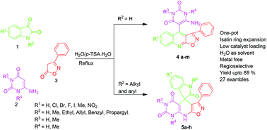 Graphical abstract: Reaction of isatins with 6-amino uracils and isoxazoles: isatin ring-opening vs. annulations and regioselective synthesis of isoxazole fused quinoline scaffolds in water