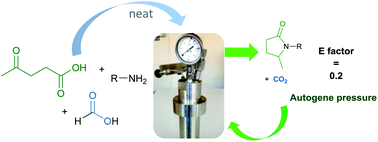 Graphical abstract: A highly sustainable route to pyrrolidone derivatives – direct access to biosourced solvents