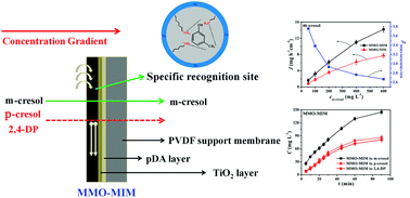 Graphical abstract: Accelerating the design of multi-component nanocomposite imprinted membranes by integrating a versatile metal–organic methodology with a mussel-inspired secondary reaction platform