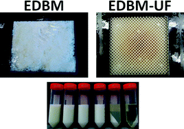 Graphical abstract: Hybrid bipolar membrane electrodialysis/ultrafiltration technology assisted by a pulsed electric field for casein production