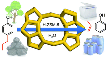 Graphical abstract: Alkylphenols to phenol and olefins by zeolite catalysis: a pathway to valorize raw and fossilized lignocellulose
