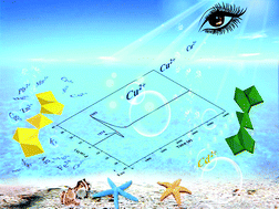 Graphical abstract: Instant high-selectivity Cd-MOF chemosensor for naked-eye detection of Cu(ii) confirmed using in situ microcalorimetry
