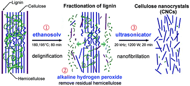 Graphical abstract: Facile extraction of cellulose nanocrystals from wood using ethanol and peroxide solvothermal pretreatment followed by ultrasonic nanofibrillation