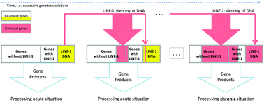 Graphical abstract: A computational functional genomics based self-limiting self-concentration mechanism of cell specialization as a biological role of jumping genes