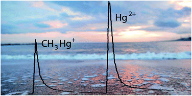 Graphical abstract: Use of a new enrichment nanosorbent for speciation of mercury by FI-CV-ICP-MS
