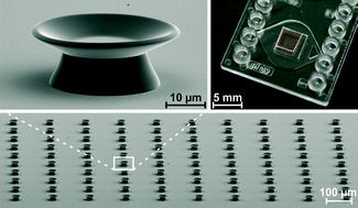 Graphical abstract: All-polymer photonic sensing platform based on whispering-gallery mode microgoblet lasers