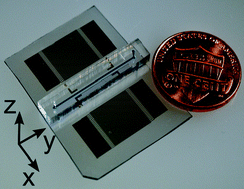 Graphical abstract: Experimental and numerical studies on standing surface acoustic wave microfluidics