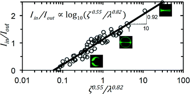 Graphical abstract: Fluid displacement during droplet formation at microfluidic flow-focusing junctions