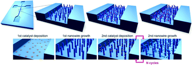 Graphical abstract: Recent developments in nanowires for bio-applications from molecular to cellular levels