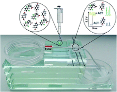 Graphical abstract: Low cost microfluidic device based on cotton threads for electroanalytical application