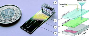 Graphical abstract: Hybrid PDMS/glass microfluidics for high resolution imaging and application to sub-wavelength particle trapping