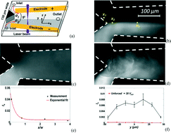 Graphical abstract: On micro-electrokinetic scalar turbulence in microfluidics at a low Reynolds number