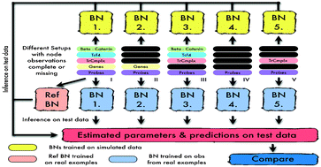 Graphical abstract: Reproducibility of parameter learning with missing observations in naive Wnt Bayesian network trained on colorectal cancer samples and doxycycline-treated cell lines