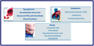 Graphical abstract: Metabolomics – the complementary field in systems biology: a review on obesity and type 2 diabetes