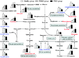 Graphical abstract: Potential of serum metabolites for diagnosing post-stroke cognitive impairment