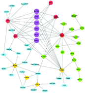 Graphical abstract: Detecting reliable non interacting proteins (NIPs) significantly enhancing the computational prediction of protein–protein interactions using machine learning methods