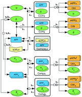 Graphical abstract: Stability analysis of the ODE model representation of amyloidogenic processing in Alzheimer's disease in the presence of SORLA