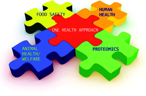 Graphical abstract: Proteomics and the search for welfare and stress biomarkers in animal production in the one-health context