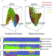 Graphical abstract: Host genetics is associated with the gut microbial community membership rather than the structure