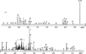 Graphical abstract: NMR-metabolomics profiling of mammary gland secretory tissue and milk serum in two goat breeds with different levels of tolerance to seasonal weight loss