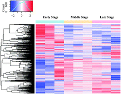 Graphical abstract: Crosstalk of dynamic functional modules in lung development of rhesus macaques