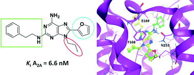 Graphical abstract: New substituted 9-propyladenine derivatives as A2Aadenosine receptor antagonists