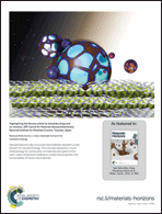 Graphical abstract: Back cover