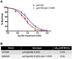 Graphical abstract: Loss of pdr-1/parkin influences Mn homeostasis through altered ferroportin expression in C. elegans