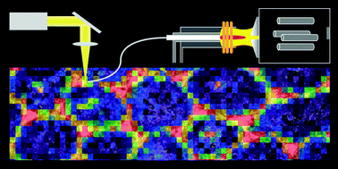 Graphical abstract: Quantitative imaging of platinum based on laser ablation-inductively coupled plasma-mass spectrometry to investigate toxic side effects of cisplatin