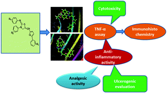 Graphical abstract: Molecular modeling and synthesis of some new 2-imino-4-thiazolidinone derivatives with promising TNF-α inhibitory activity