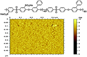 Graphical abstract: New sulfonated poly(arylene ether sulfone) copolymers containing phenyl side chains as proton exchange membranes