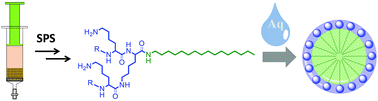 Graphical abstract: Preparation and self-assembly of amphiphilic polylysine dendrons