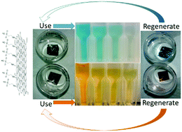 Graphical abstract: Cationic and anionic azo-dye removal from water by sulfonated graphene oxide nanosheets in Nafion membranes