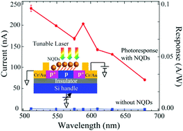 Graphical abstract: Hybrid light sensor based on ultrathin Si nanomembranes sensitized with CdSe/ZnS colloidal nanocrystal quantum dots