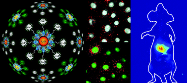 Graphical abstract: Nanoparticles speckled by ready-to-conjugate lanthanide complexes for multimodal imaging