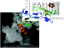 Graphical abstract: Pattern recognition of monocyte chemoattractant protein-1 (MCP-1) in whole blood samples using new platforms based on nanostructured materials